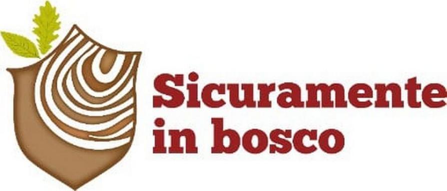 Sicuramente in bosco 