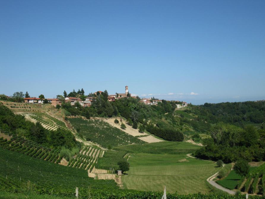 Vinchio (AT). Panorama. Immagine di Andrea Laiolo (2009)