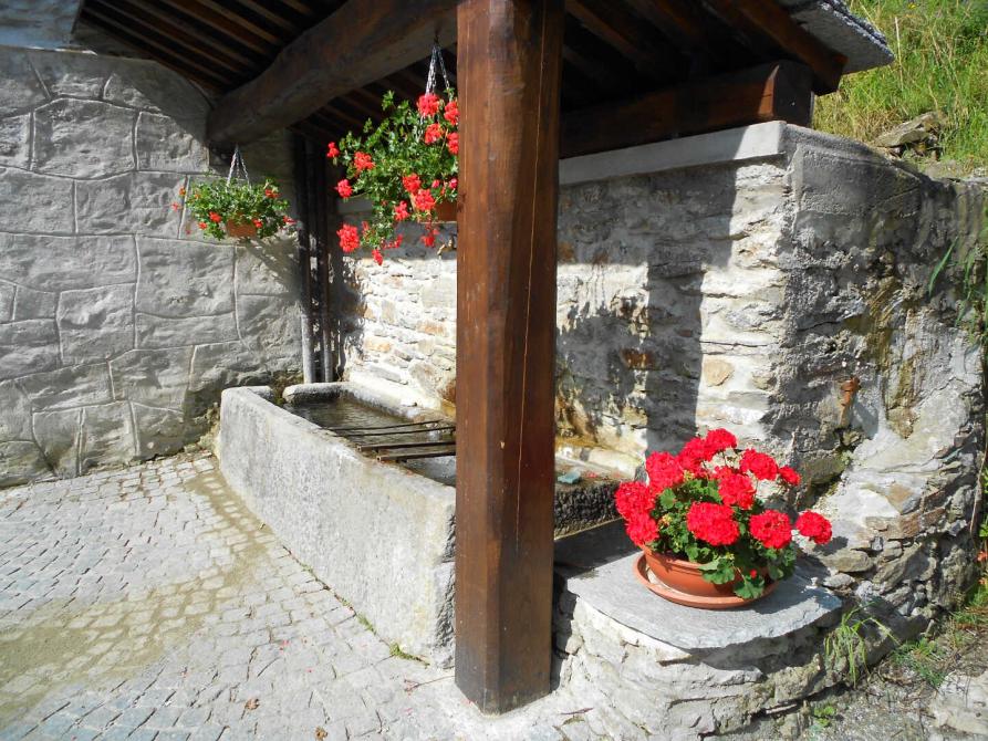 Ingria, scorcio estivo. Foto di Renato Poletto 