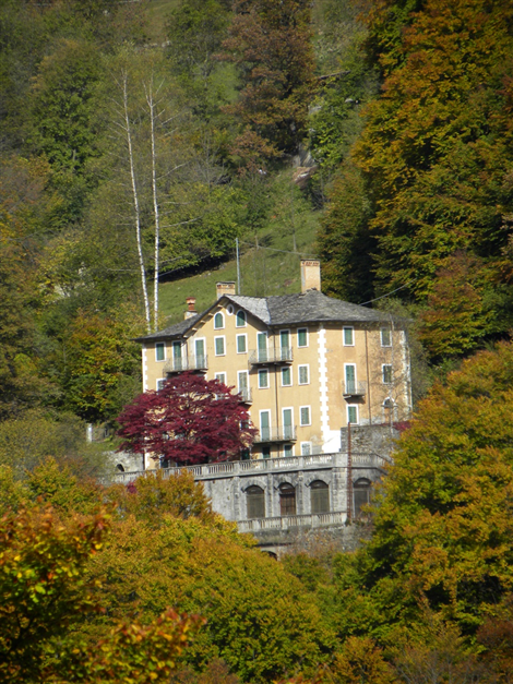 Fobello (VC). Una villa color crema con scuri verdi e tetto in pietra grigia emerge dal bosco. Unico punto di colore: un albero rosso ai piedi della villa. 