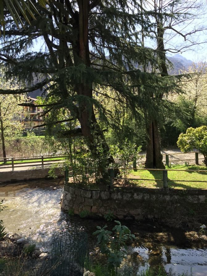 Gravellona Toce (VCO). Parco dell'Isolone. Scorcio di alberi, acqua e vegetazione 