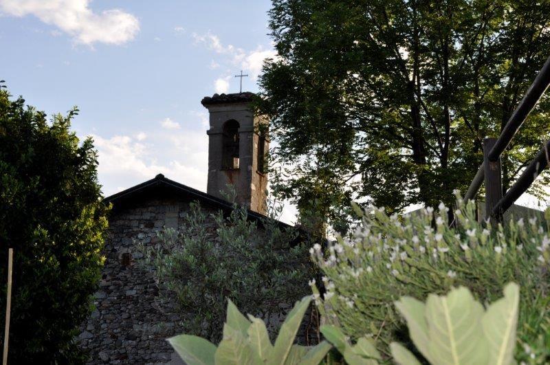 Briga Novarese (NO). Fra la vegetazione uno scorcio del retro della Chiesa di San Colombano con muri in pietra grezza. Si intravede parte della torre campanaria. Fotografia di Carlo Moroso 