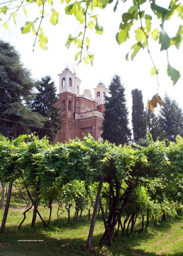 Agliè (TO). In primo piano un filare di viti rigogliose. Fra alti alberi lo scorcio del Santuario Madonna delle Grazie. L'edificio è in stile Barocco piemontese: una parte decorato in mattoni rossi a vista e la parte finale della cupola e dei campanili imbiancati. Fotografia di Franco Marchiando (2015). 