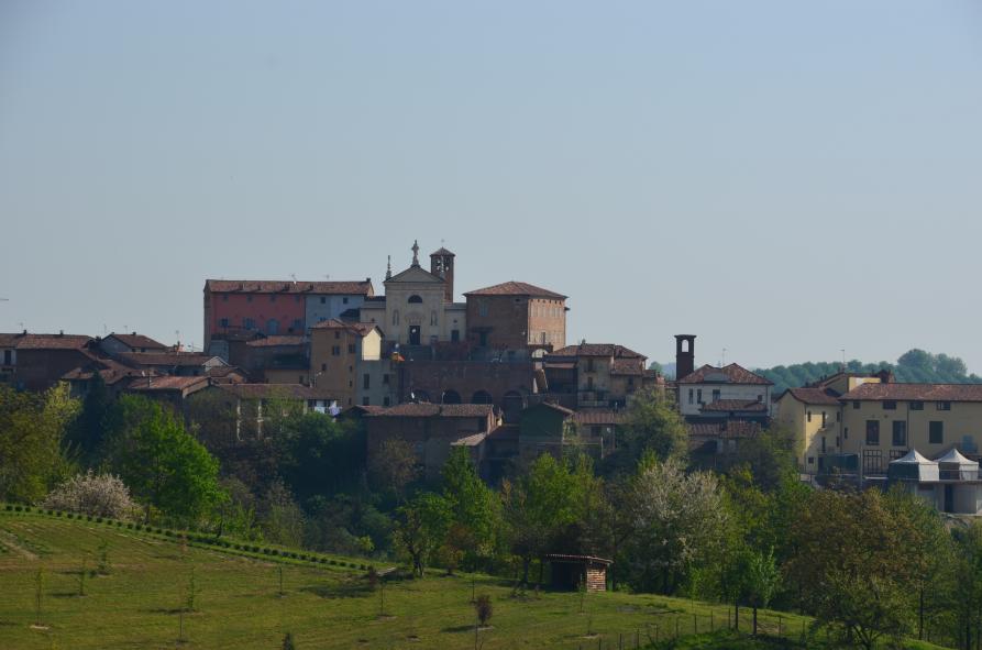 Scurzolengo (AT). I campi verdi e rigogliosi riempiono metà fotografia mentre il paese, visto da lontano, si staglia nel cielo azzurro pallido. 