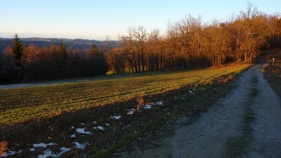 Levice (CN). I sentieri di Levice in periodo invernale con panorama di cresta delle montagne in lontananza. Il cielo è limpido e azzurro. Fotografia di Annamaria Delmonte (2009) 