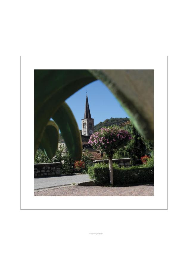 Arola (VCO). Tra la vegetazione in fiore emerge il campanile in pietra con cuspide piramidale della Chiesa di S. Bartolomeo. Fotografia di Enzo Franza (2013) 
