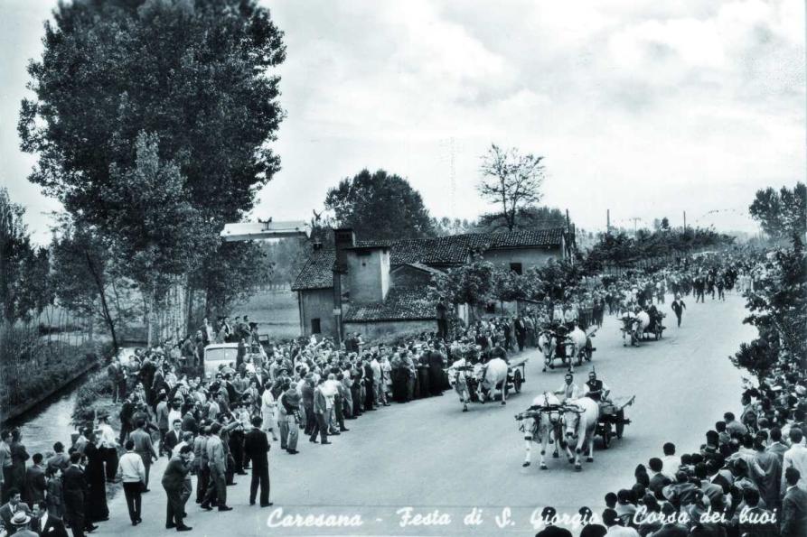 Comune di Caresana, Foto storica in bianco e nero della corsa dei buoi negli anni 50-60. Autore Eusebio Pomati  - Autore Claudio Tambornino anno 2008 