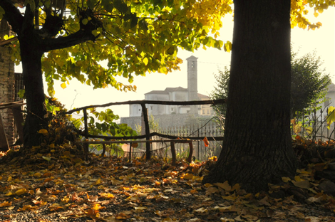 Nebbiuno (NO). Il terreno è ricoperto di foglie rosse gialle cadute dagli alberi che incorniciano la fotografia. Una staccionata di legno si frappone fra il bosco e l'immagine di una chiesa in lontananza. Immagine di Giancarlo Consonni tratta dal sito del Comune 