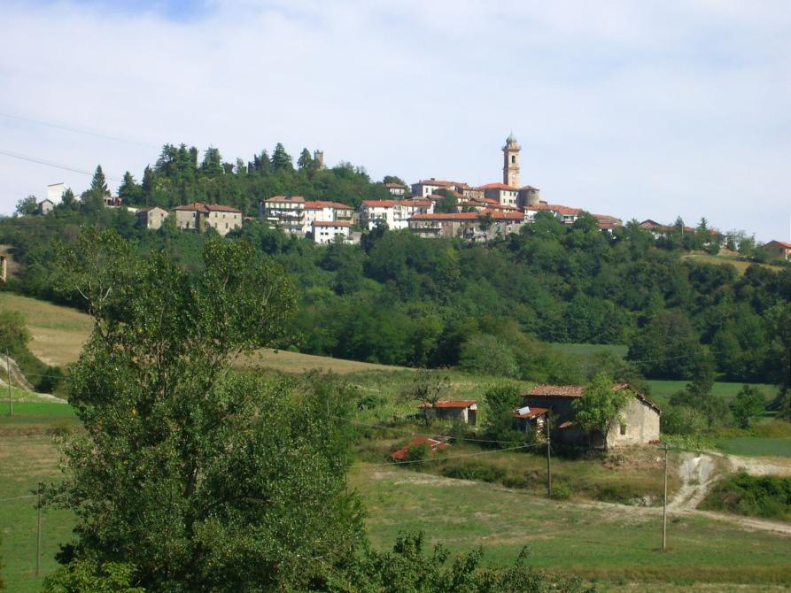 Pareto (AL). Il paese visto in lontananza spicca fra gli alberi, i campi coltivati e il cielo nuvoloso. In primo piano una cascina diroccata. Immagine tratta dal sito del Comune 