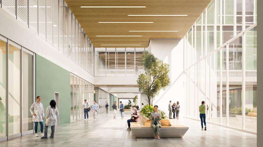 La "strada principale" 