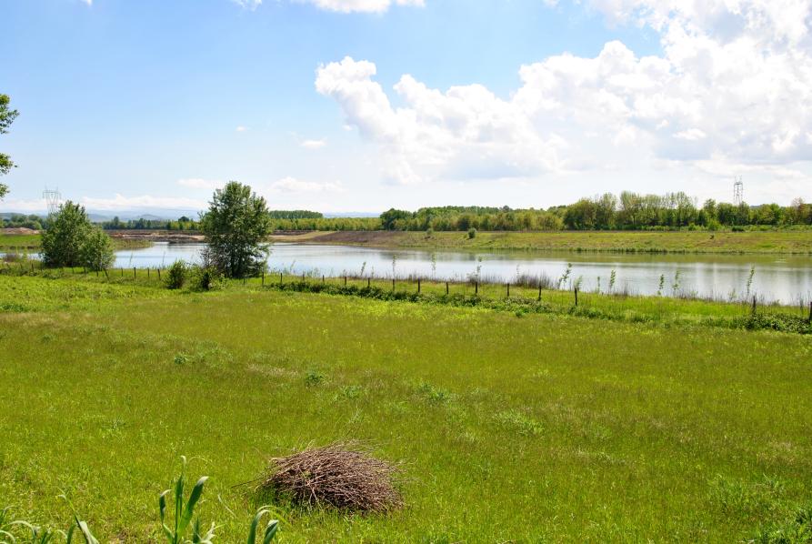 Sezzadio (AL). Vista sul lago di Santa Giustina circondato da prati erbosi. Fotografia di Piergiorgio Buffa (2015) 