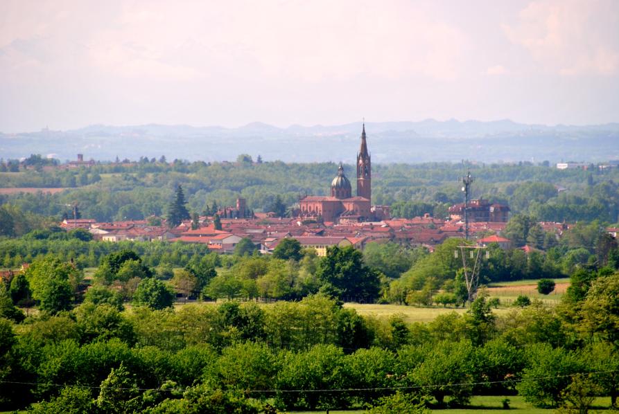 Sezzadio (AL). Panoramica sul paese visto in lontananza e immerso fra alberi e campi verdeggianti. Fotografia di Piergiorgio Buffa (2014)  
