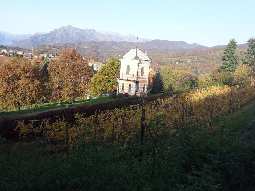 Bricherasio (TO). I filari delle viti dai colori autunnali degradano verso la torretta del belvedere immersa fra gli alberi. Dietro le montagne brulle e un cielo azzurro chiaro 