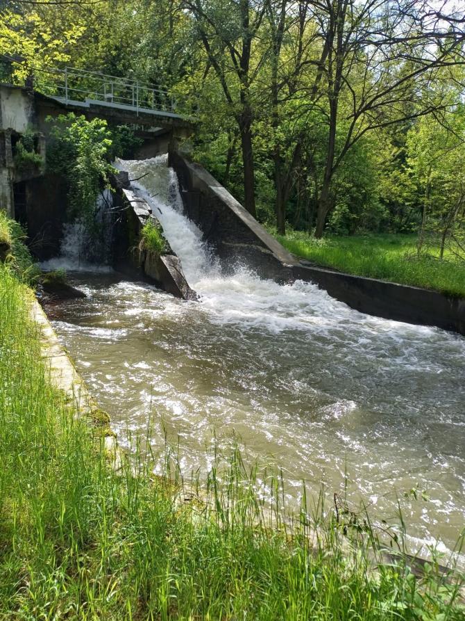 Salussola (BI). Scorcio di acqua e piante verdeggianti. Immagine tratta dal sito del Comune (2026) 