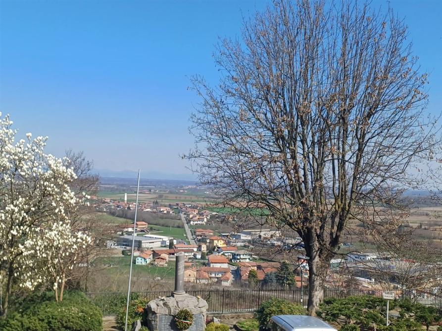 Salussola (BI). Panoramica sul paese visto dall'alto. Il cielo è blu. A sinistra un albero in fiore. A destra un albero con i primi germogli primaverili. Immagine tratta dal sito del Comune (2025) 