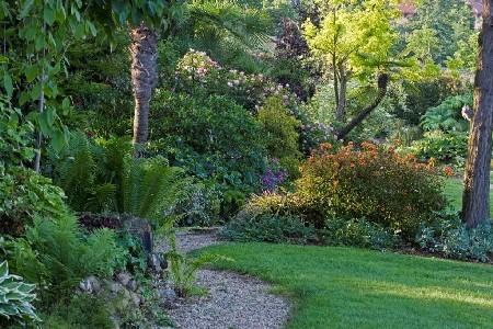 Saluzzo (CN). Giardino ricco di vegetazione 