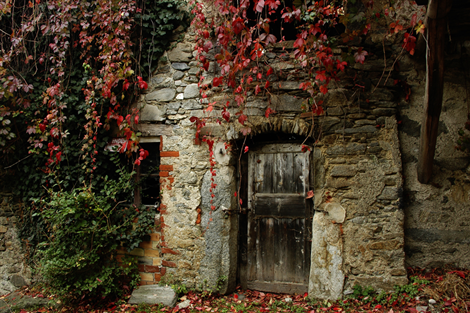 Nebbiuno (NO). Scorcio di un casolare in pietra grezza e della porta d'entrata in legno. Le edere verdi e rosse corrono lungo le pareti della struttura. Fotografia di Marisa Marcellini tratta dal sito del Comune  
