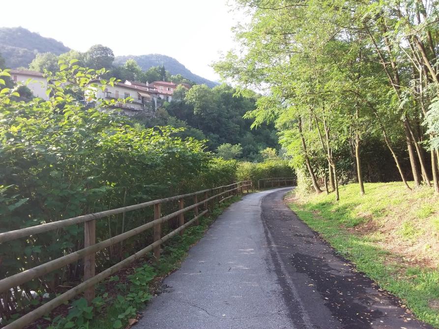 Gravellona Toce (VCO). Percorso ciclabile immerso nella natura. In alto a sinistra, fra le fronde verdi degli alberi e dei cespugli, si intravedono alcuni caseggiati 