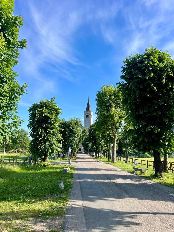 Ameno (NO). Allea: il viale alberato che conduce alla zona panoramica. Si intravede il campanile del parrocchiale dell'Assunta. Fotografia di Mauriliano Castiglioni (2026)  