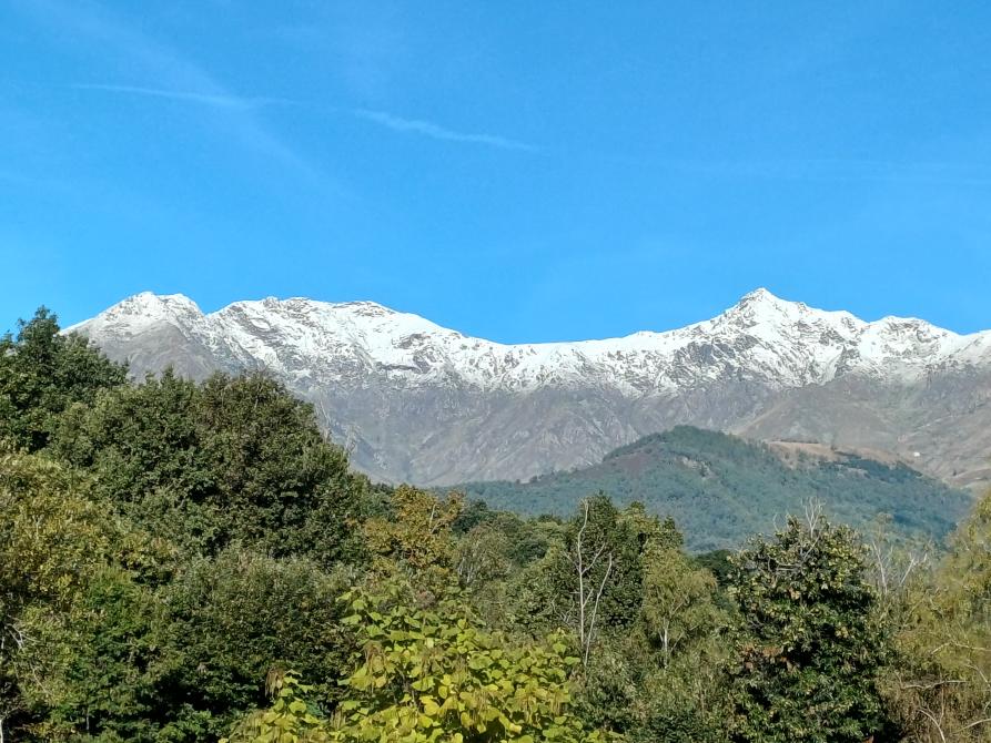 Vidracco (TO). Le chiome degli alberi frondosi in primo piano spingono lo sguardo verso le colline e le montagne  brulle e innevate sulle cime 