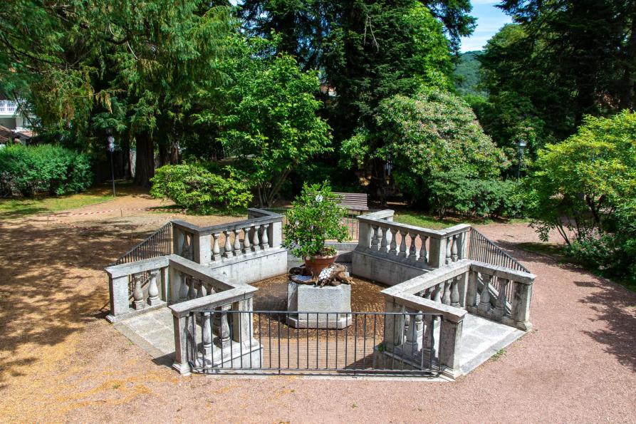 Ameno (NO). Parco neogotico. Scorcio fra gli alberi. Fotografia di Mauriliano Castiglioni (2026)  