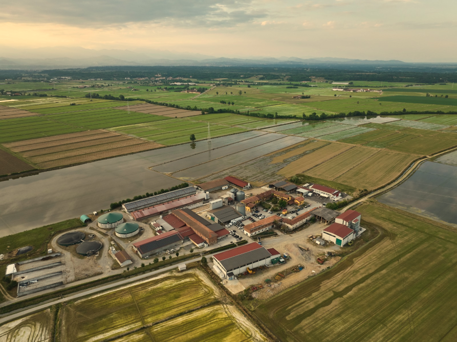 Salussola (BI). Vista aerea di un'azienda agricola nel territorio di Salussola, con fabbricati rurali circondati da campi coltivati e strade poderali. Fotografia di Marco Chiavassa 