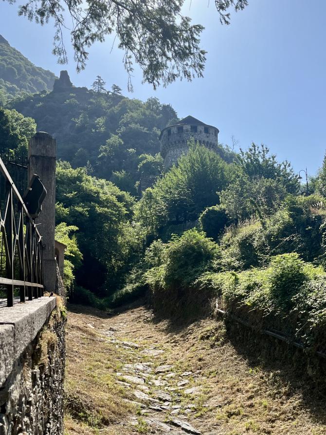 Vogogna (VCO). Un sentiero sterrato conduce fra il fitto della vegetazione. In lontananza la montagna e il cielo limpido 