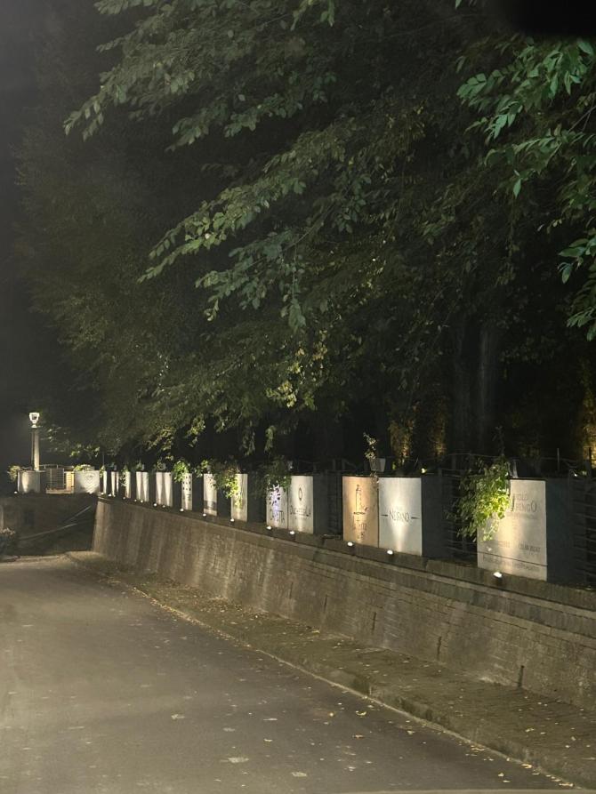 Castelletto Molina (AT). Fotografia notturna che ritrae il "Muretto dei vini" con la cartellonistica illuminata da faretti ai piedi del viale alberato 