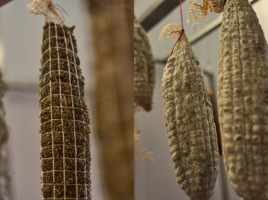 Salussola (BI). Salumi appesi durante la stagionatura all'interno di un laboratorio artigianale, simbolo della tradizione agroalimentare del territorio di Salussola. Fotografia di Marco Chiavassa 