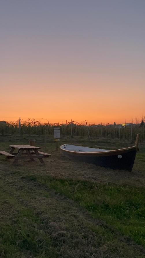 Castelletto Molina (AT). Una barca e una panchina di legno al tramonto fanno parte del percorso "Come una barca nelle vigne" 