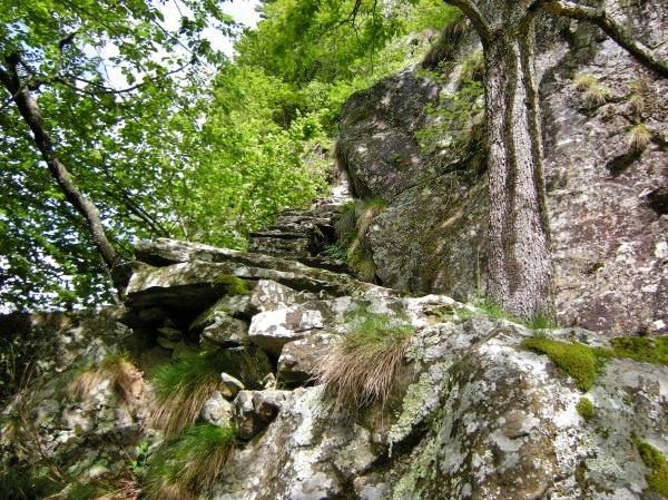 Mollia (VC). Scorcio naturalistico della Scala Granda costruita in pietra e aggrappata alla parete che si risale per raggiungere l'alpe Ortigosa 