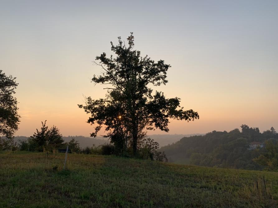 Cortanze (AT). Prato e alberi al tramonto. Il cielo azzurrognolo all'imbrunire si tinge di rosa 