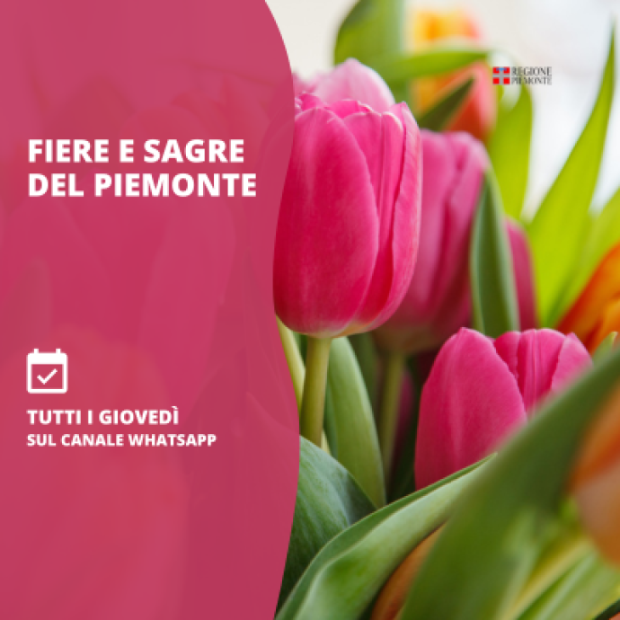 Sagre e fiere del Piemonte
