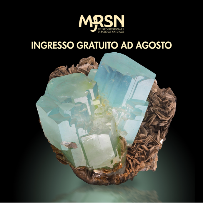 Apertura agosto museo di scienze