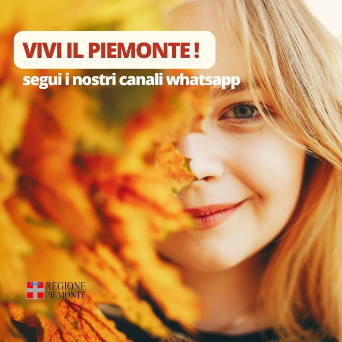 Segui i canali WhatsApp di Regione Piemonte